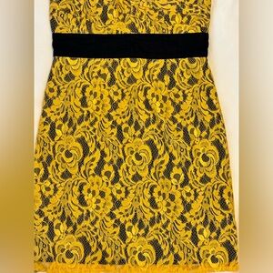 Minuet lace tube dress WG86
